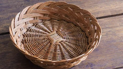 王楚钦荣获亚洲杯乒乓球男单金牌捷报！